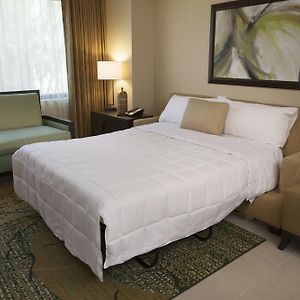 Suite de 1 Dormitorio y Cama King